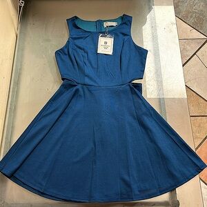 Blue,sleeveless, never worn, women’s medium dress.